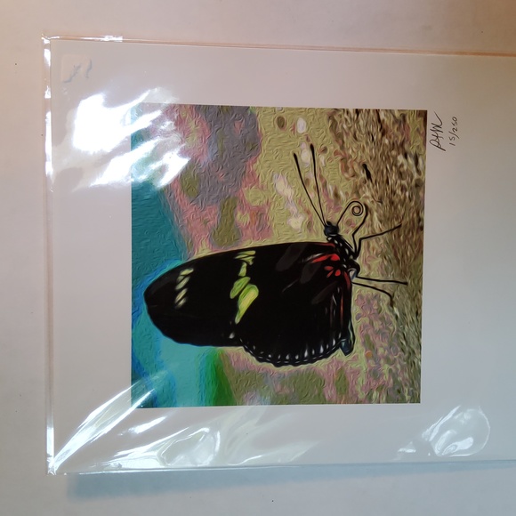 Peter James Maurer Other - Butterfly print 15/250 Peter James Maurer